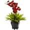 20" Rust Orchid & Fern Arrangement with Wood Planter